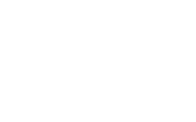 Soaring Eagle Casino Logo